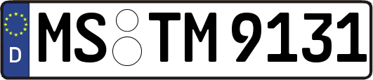 MS-TM9131