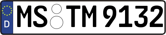 MS-TM9132