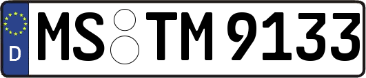 MS-TM9133
