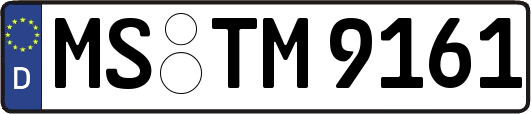 MS-TM9161
