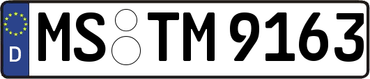 MS-TM9163