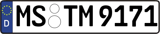 MS-TM9171