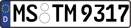 MS-TM9317