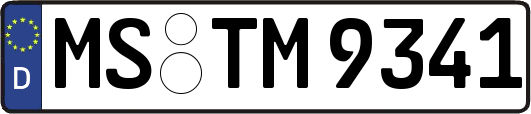 MS-TM9341
