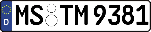 MS-TM9381