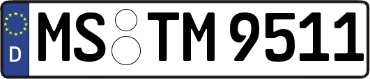 MS-TM9511