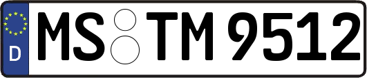 MS-TM9512