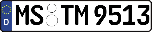 MS-TM9513