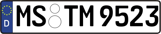 MS-TM9523