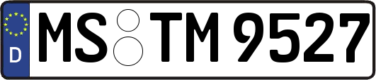MS-TM9527