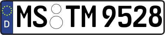 MS-TM9528