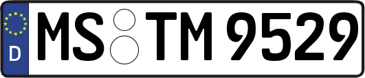 MS-TM9529