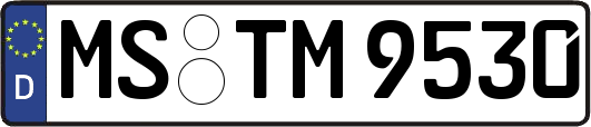 MS-TM9530