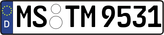 MS-TM9531