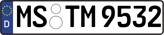 MS-TM9532