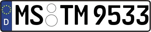 MS-TM9533