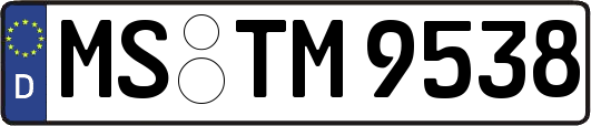 MS-TM9538