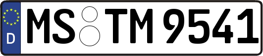MS-TM9541