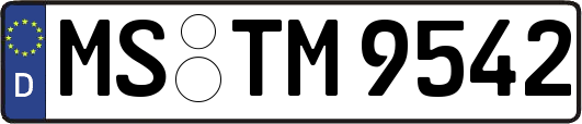 MS-TM9542