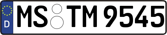 MS-TM9545