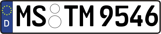 MS-TM9546