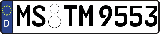 MS-TM9553