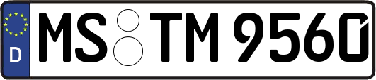 MS-TM9560