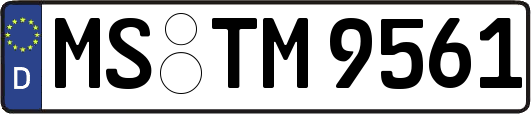 MS-TM9561