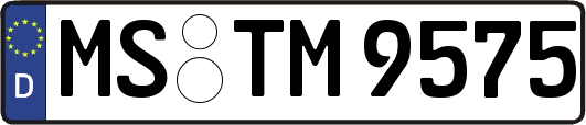 MS-TM9575