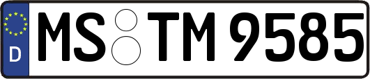 MS-TM9585