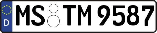 MS-TM9587