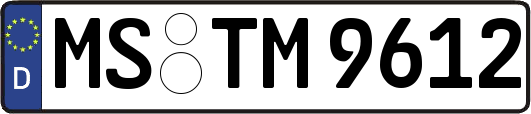 MS-TM9612