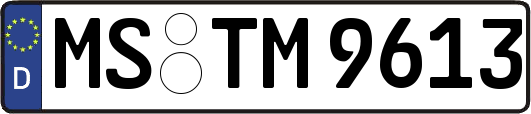 MS-TM9613