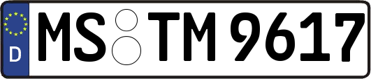 MS-TM9617