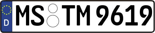 MS-TM9619
