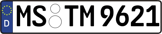MS-TM9621