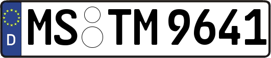 MS-TM9641