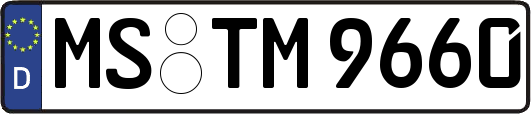 MS-TM9660