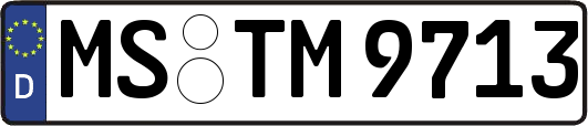 MS-TM9713
