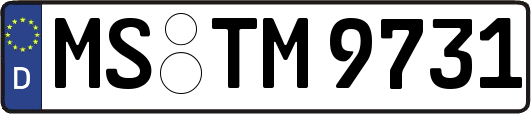 MS-TM9731