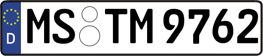 MS-TM9762