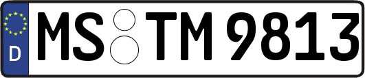 MS-TM9813