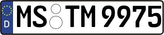 MS-TM9975