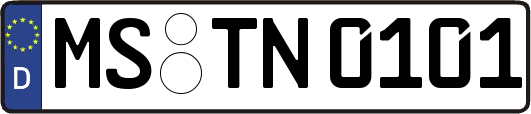 MS-TN0101