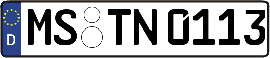 MS-TN0113