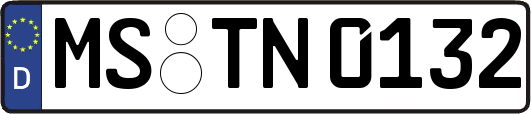 MS-TN0132