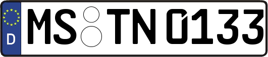 MS-TN0133