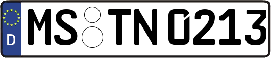 MS-TN0213