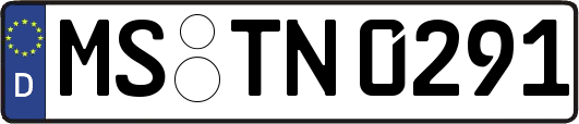 MS-TN0291