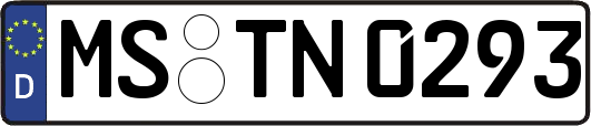 MS-TN0293